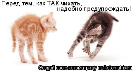 Перед тем, как ТАК чихать, надобно предупреждать!... Котоматрица: Перед тем, как ТАК чихать, надобно предупреждать!