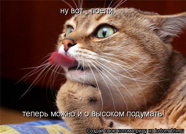 Котоматрица: ну вот - поели,  теперь можно и о высоком подумать!