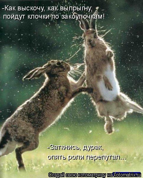 -Как выскочу, как выпрыгну, пойдут клочки по закоулочкам! -Заткнись, дурак, опять роли перепутал...... Котоматрица: -Как выскочу, как выпрыгну, пойдут клочки по закоулочкам! -Заткнись, дурак, опять роли перепутал...