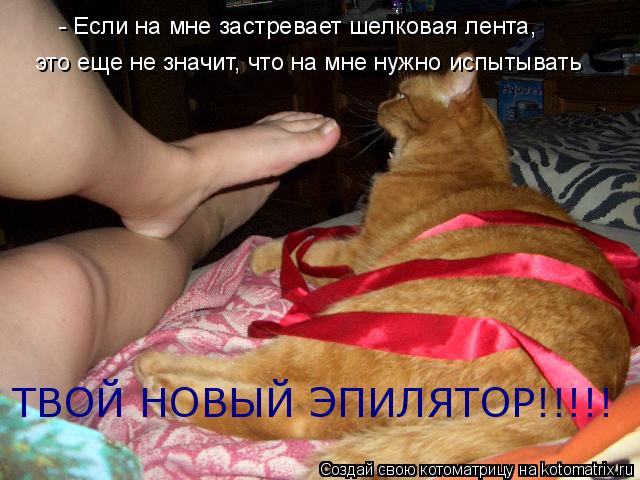 - Если на мне застревает шелковая лента, это еще не значит, что на мне нужно испытывать ТВОЙ НОВЫЙ Э... Котоматрица: - Если на мне застревает шелковая лента, это еще не значит, что на мне нужно испытывать ТВОЙ НОВЫЙ ЭПИЛЯТОР!!!!!