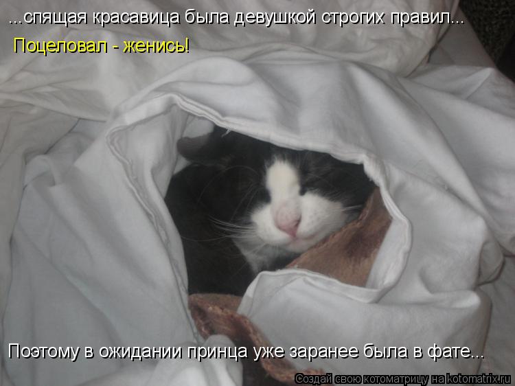 ...спящая красавица была девушкой строгих правил... Поцеловал - женись! Поэтому в ожидании принца уже... Котоматрица: ...спящая красавица была девушкой строгих правил... Поцеловал - женись! Поэтому в ожидании принца уже заранее была в фате...