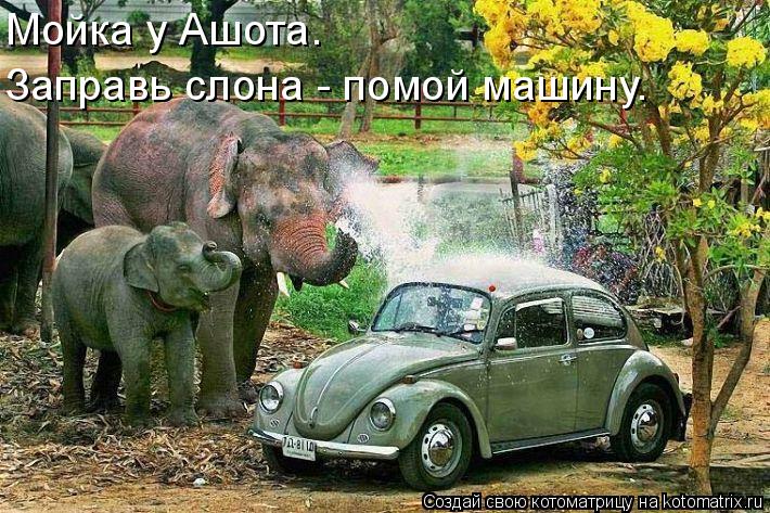 Мойка у Ашота. Заправь слона - помой машину.... Котоматрица: Мойка у Ашота. Заправь слона - помой машину.
