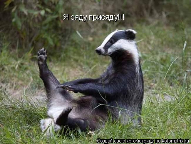Котоматрица: Я сяду,присяду!!!