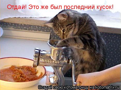 Отдай! Это же был последний кусок!... Котоматрица: Отдай! Это же был последний кусок!