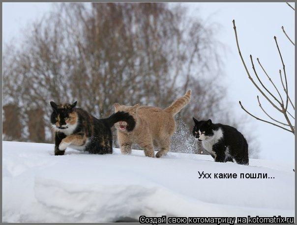 Ухх какие пошли...... Котоматрица: Ухх какие пошли...