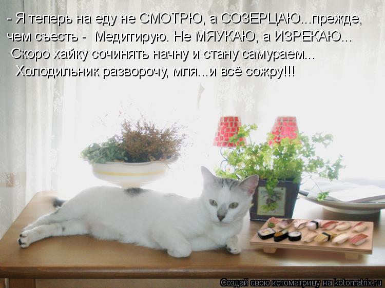 Котоматрица: - Я теперь на еду не СМОТРЮ, а СОЗЕРЦАЮ...прежде, чем съесть -  Медитирую. Не МЯУКАЮ, а ИЗРЕКАЮ... Скоро хайку сочинять начну и стану самураем... Х