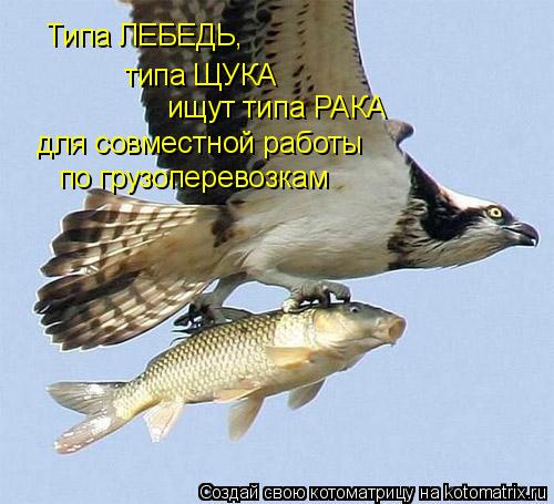 Типа ЛЕБЕДЬ, типа ЩУКА ищут типа РАКА для совместной работы по грузоперевозкам... Котоматрица: Типа ЛЕБЕДЬ, типа ЩУКА ищут типа РАКА для совместной работы по грузоперевозкам