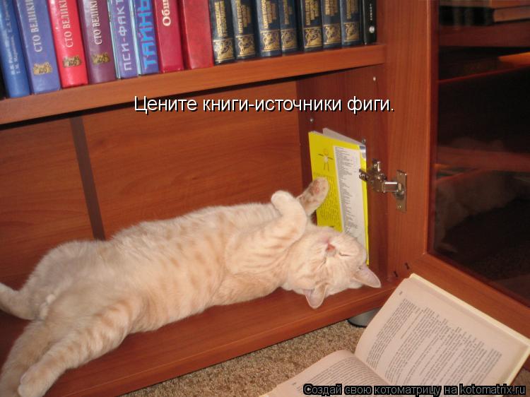 Котоматрица: Цените книги-источники фиги.