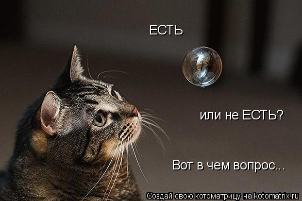 ЕСТЬ или не ЕСТЬ? Вот в чем вопрос...... Котоматрица: ЕСТЬ или не ЕСТЬ? Вот в чем вопрос...
