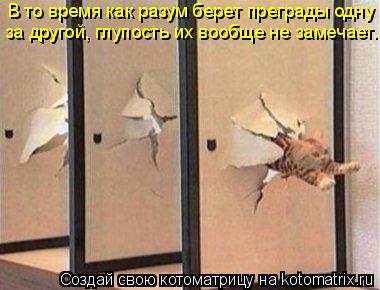 Котоматрица: В то время как разум берет преграды одну  за другой, глупость их вообще не замечает.