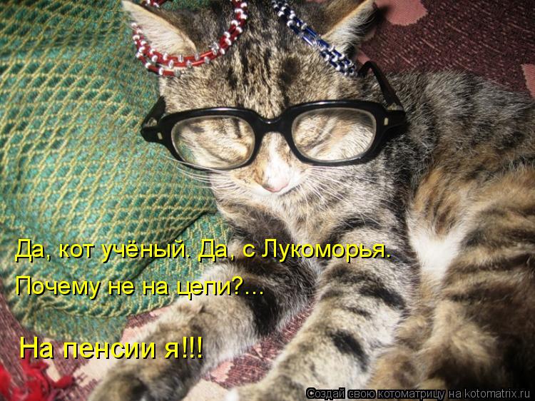 Котоматрица: Да, кот учёный. Да, с Лукоморья. Почему не на цепи?... На пенсии я!!!