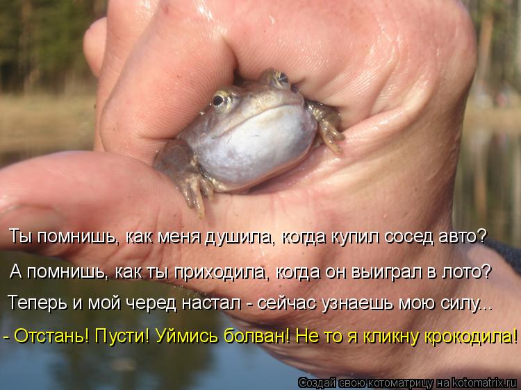 Ты помнишь, как меня душила, когда купил сосед авто? А помнишь, как ты приходила, когда он выиграл в ... Котоматрица: Ты помнишь, как меня душила, когда купил сосед авто? А помнишь, как ты приходила, когда он выиграл в лото? - Отстань! Пусти! Уймись болван! Не то