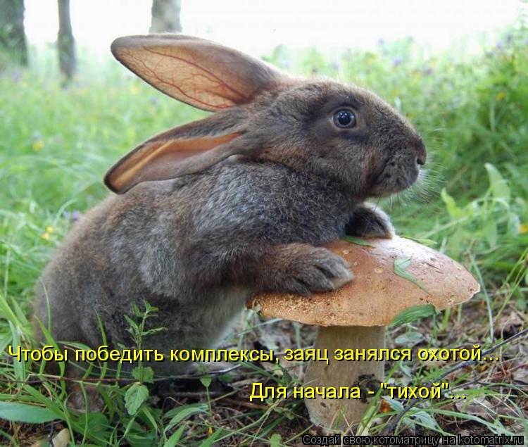 Котоматрица: Чтобы победить комплексы, заяц занялся охотой... Для начала - "тихой"...