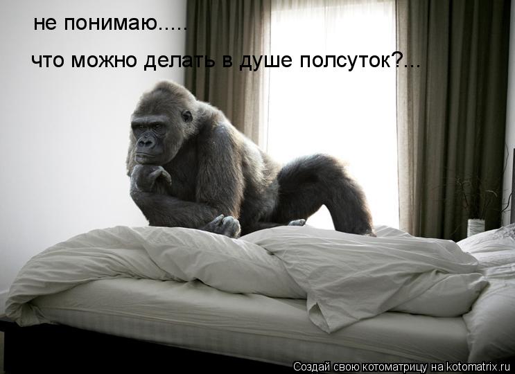 не понимаю..... что можно делать в душе полсуток?...... Котоматрица: не понимаю..... что можно делать в душе полсуток?...