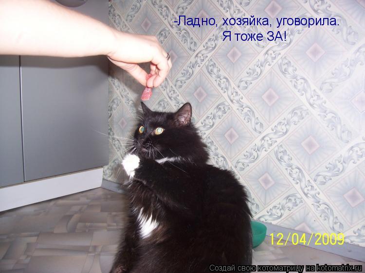 Котоматрица: -Ладно, хозяйка, уговорила. Я тоже ЗА!