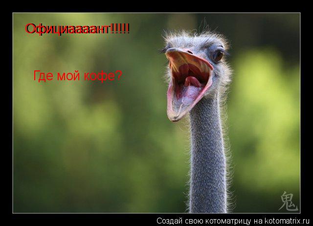 Котоматрица: Официаааант!!!!! Официаааант!!!!! Где мой кофе?