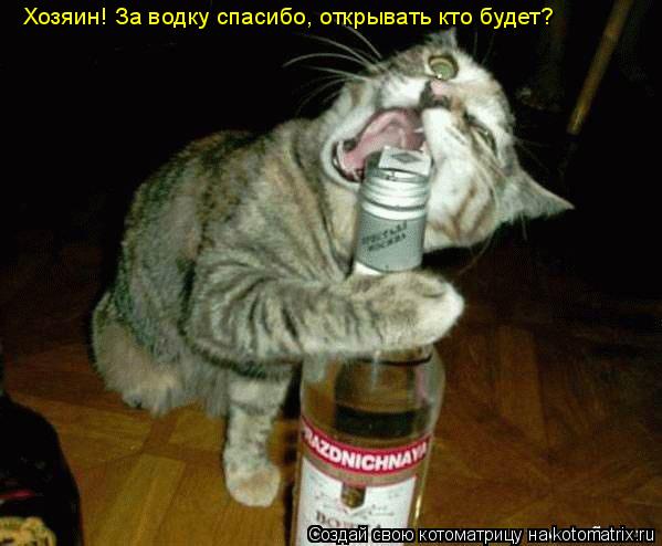 Котоматрица: Хозяин! За водку спасибо, открывать кто будет?