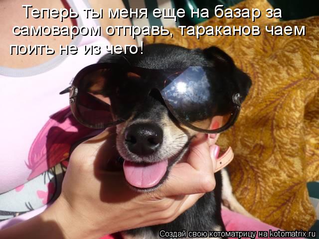 Теперь ты меня еще на базар за самоваром отправь, тараканов чаем поить не из чего!... Котоматрица: Теперь ты меня еще на базар за самоваром отправь, тараканов чаем поить не из чего!