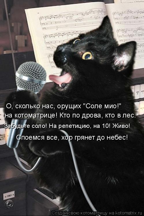 на котоматрице! Кто по дрова, кто в лес. Забудьте соло! На репетицию, на 10! Живо! О, сколько нас, ор... Котоматрица: на котоматрице! Кто по дрова, кто в лес. Забудьте соло! На репетицию, на 10! Живо! О, сколько нас, орущих "Соле мио!" Споемся все, хор грянет до не