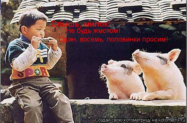 Слышь, милок! Не будь жмотом! Один, восемь, половинки просим!... Котоматрица: Слышь, милок! Не будь жмотом! Один, восемь, половинки просим!