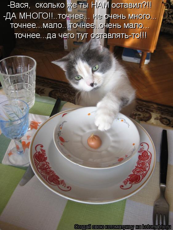 точнее...да чего тут оставлять-то!!! точнее...мало...точнее..очень мало... -ДА МНОГО!!..точнее... не ... Котоматрица: точнее...да чего тут оставлять-то!!! точнее...мало...точнее..очень мало... -ДА МНОГО!!..точнее... не очень много... -Вася, сколько же ты НАМ оставил?