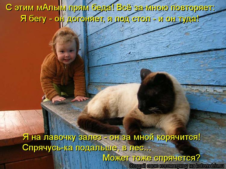 С этим мАлым прям беда! Всё за мною повторяет: Я бегу - он догоняет, я под стол - и он туда! Я на лав... Котоматрица: С этим мАлым прям беда! Всё за мною повторяет: Я бегу - он догоняет, я под стол - и он туда! Я на лавочку залез - он за мной корячится! Спрячусь-ка