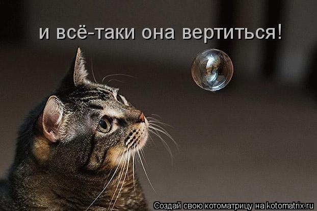 и всё-таки она вертиться!... Котоматрица: и всё-таки она вертиться!