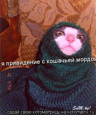 я привидение с кошачьей мордой!... Котоматрица: я привидение с кошачьей мордой!
