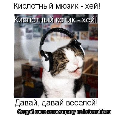 Котоматрица: Кислотный мюзик - хей! Кислотный котик - хей! Давай, давай веселей!