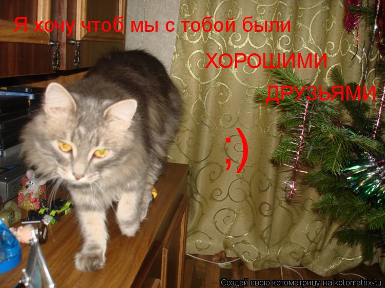 Котоматрица: Я хочу чтоб мы с тобой были ХОРОШИМИ друзьями Я хочу чтоб мы с тобой были  ХОРОШИМИ ДРУЗЬЯМИ ;)
