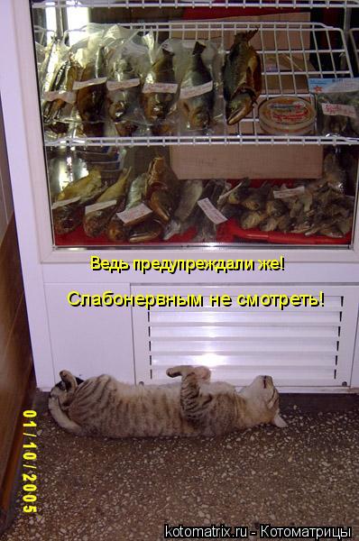 Котоматрица: Ведь предупреждали же! Слабонервным не смотреть!