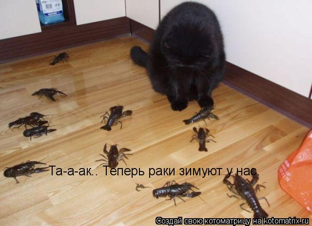 Та-а-ак.. Теперь раки зимуют у нас.... Котоматрица: Та-а-ак.. Теперь раки зимуют у нас.