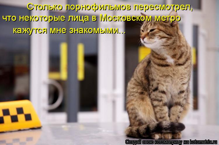 Котоматрица: Столько порнофильмов пересмотрел, что некоторые лица в Московском метро кажутся мне знакомыми...
