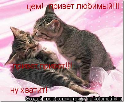 Котоматрица: цём! привет любимый!!! привет,привет!!! ну хватит!
