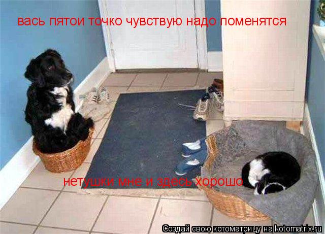 вась пятои точко чувствую надо поменятся нетушки мне и здесь хорошо... Котоматрица: вась пятои точко чувствую надо поменятся нетушки мне и здесь хорошо