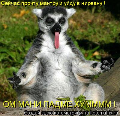Котоматрица: ОМ МАНИ ПАДМЕ ХУММММ ! Сейчас прочту мантру и уйду в нирвану !