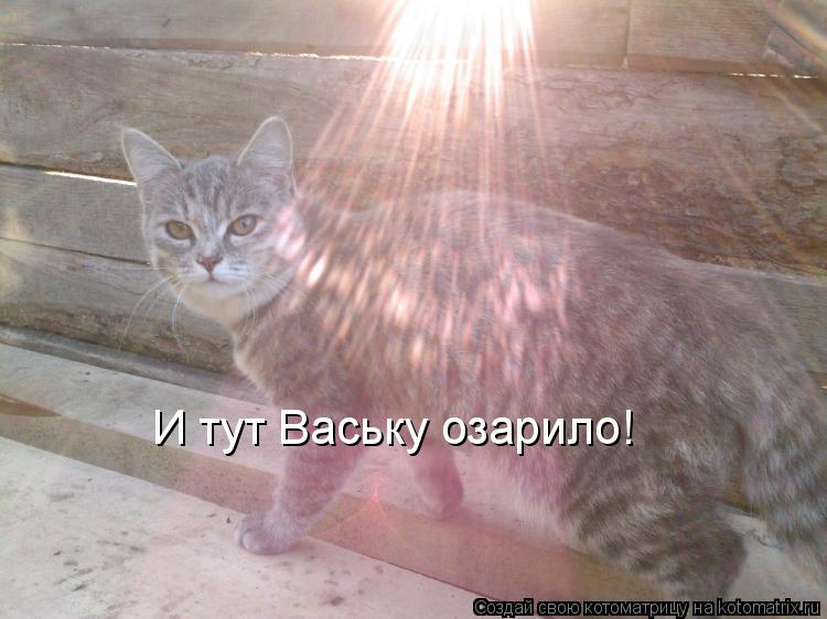 И тут Ваську озарило!... Котоматрица: И тут Ваську озарило!