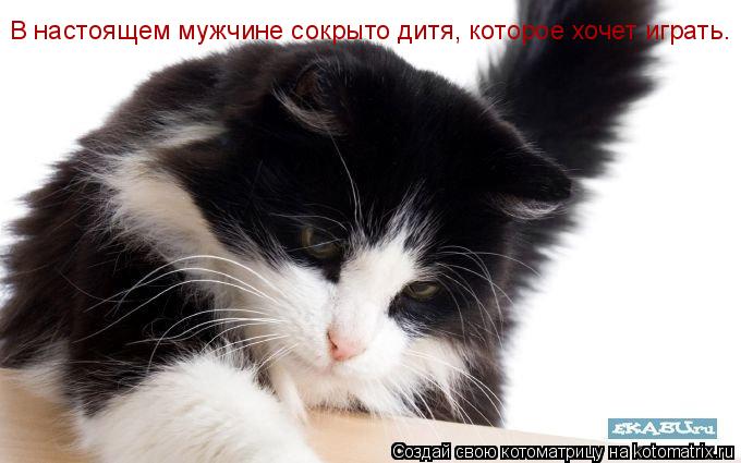 Котоматрица: В настоящем мужчине сокрыто дитя, которое хочет играть.