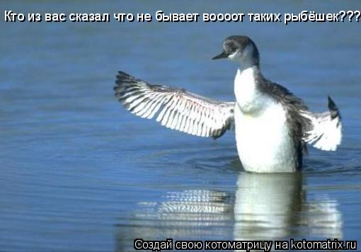 Котоматрица: Кто из вас сказал что не бывает воооот таких рыбёшек?????