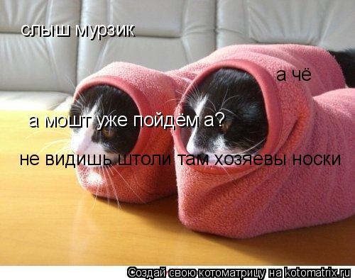Котоматрица: слыш мурзик а чё а мошт уже пойдём а? не видишь штоли там хозяевы носки