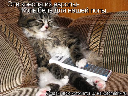 Котоматрица: Эти кресла из европы- Колыбель для нашей попы...