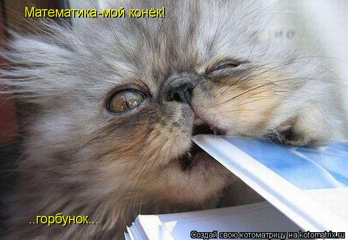 Котоматрица: Математика-мой конёк! ..горбунок...