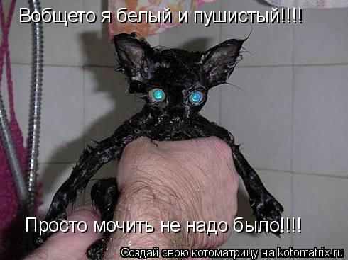 Котоматрица: Вобщето я белый и пушистый!!!! Просто мочить не надо было!!!!