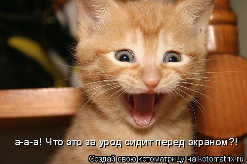 Котоматрица: а-а-а! Что это за урод сидит перед экраном?!
