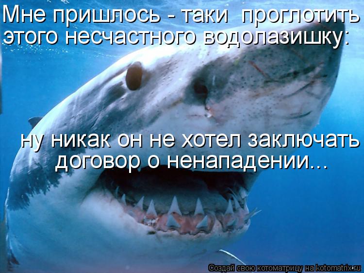 Котоматрица: Мне пришлось - таки  проглотить этого несчастного водолазишку:   ну никак он не  хотел  заключать договор о ненападении... этого несчастного в