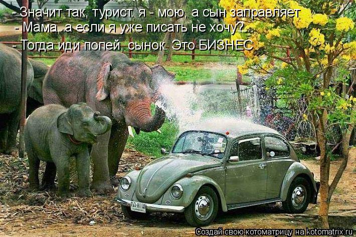 Котоматрица: - Мама, а если я уже писать не хочу?... - Значит так, турист. я - мою, а сын заправляет - Тогда иди попей, сынок. Это БИЗНЕС