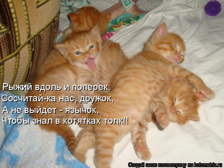 Рыжий вдоль и поперек, Чтобы знал в котятках толк!! Сосчитай-ка нас, дружок, А не выйдет - язычок,... Котоматрица: Рыжий вдоль и поперек, Чтобы знал в котятках толк!! Сосчитай-ка нас, дружок, А не выйдет - язычок,