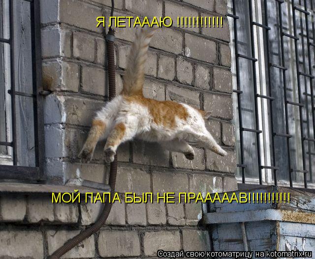 Котоматрица: Я ЛЕТАААЮ !!!!!!!!!!!! МОЙ ПАПА БЫЛ НЕ ПРАААААВ!!!!!!!!!!!