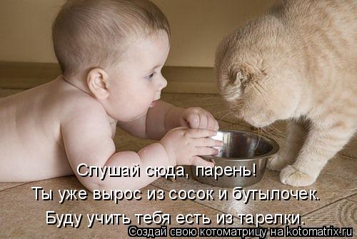 Слушай сюда, парень! Ты уже вырос из сосок и бутылочек. Буду учить тебя есть из тарелки.... Котоматрица: Слушай сюда, парень! Ты уже вырос из сосок и бутылочек. Буду учить тебя есть из тарелки.