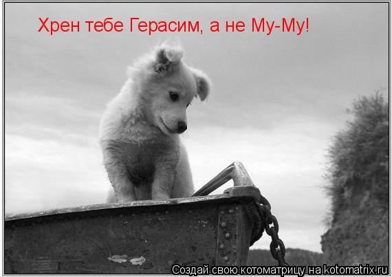 Котоматрица: Хрен тебе Герасим, а не Му-Му!